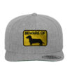 Beware of - Classic Snapback