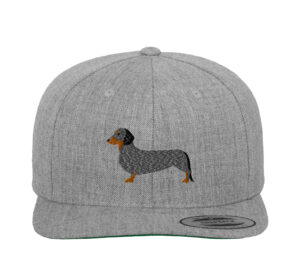 Sima tacsi - Classic Snapback